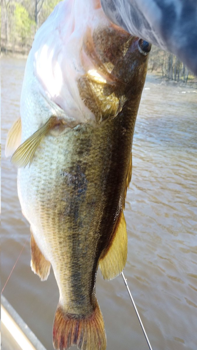 Dean Dean Butterbean tweet media