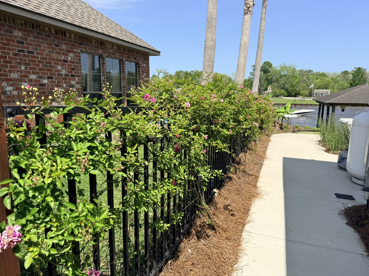 Playteaux tweet media