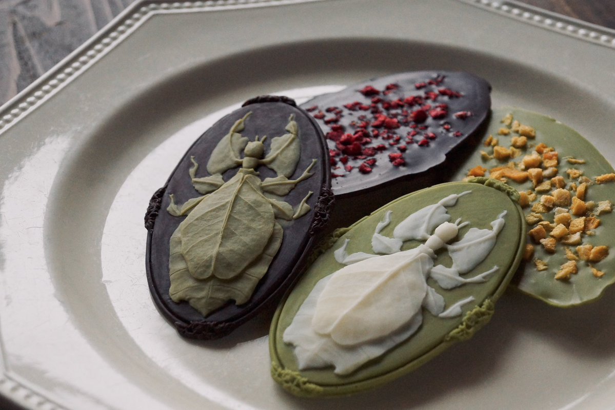 昆蟲菓舗 灯螂舎(トウロウ舎) tweet media