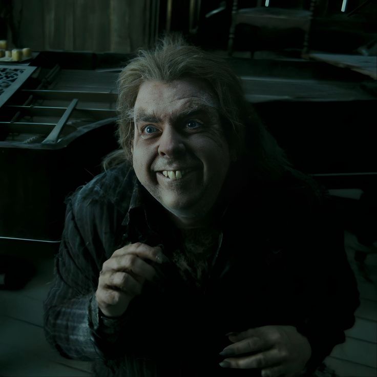 Acervo Rabicho tweet media