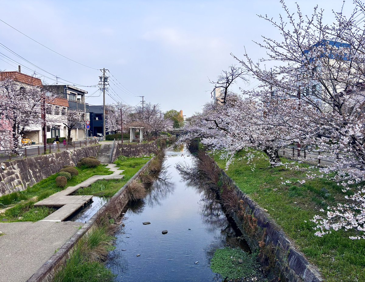 ☆セイジ☆ tweet media