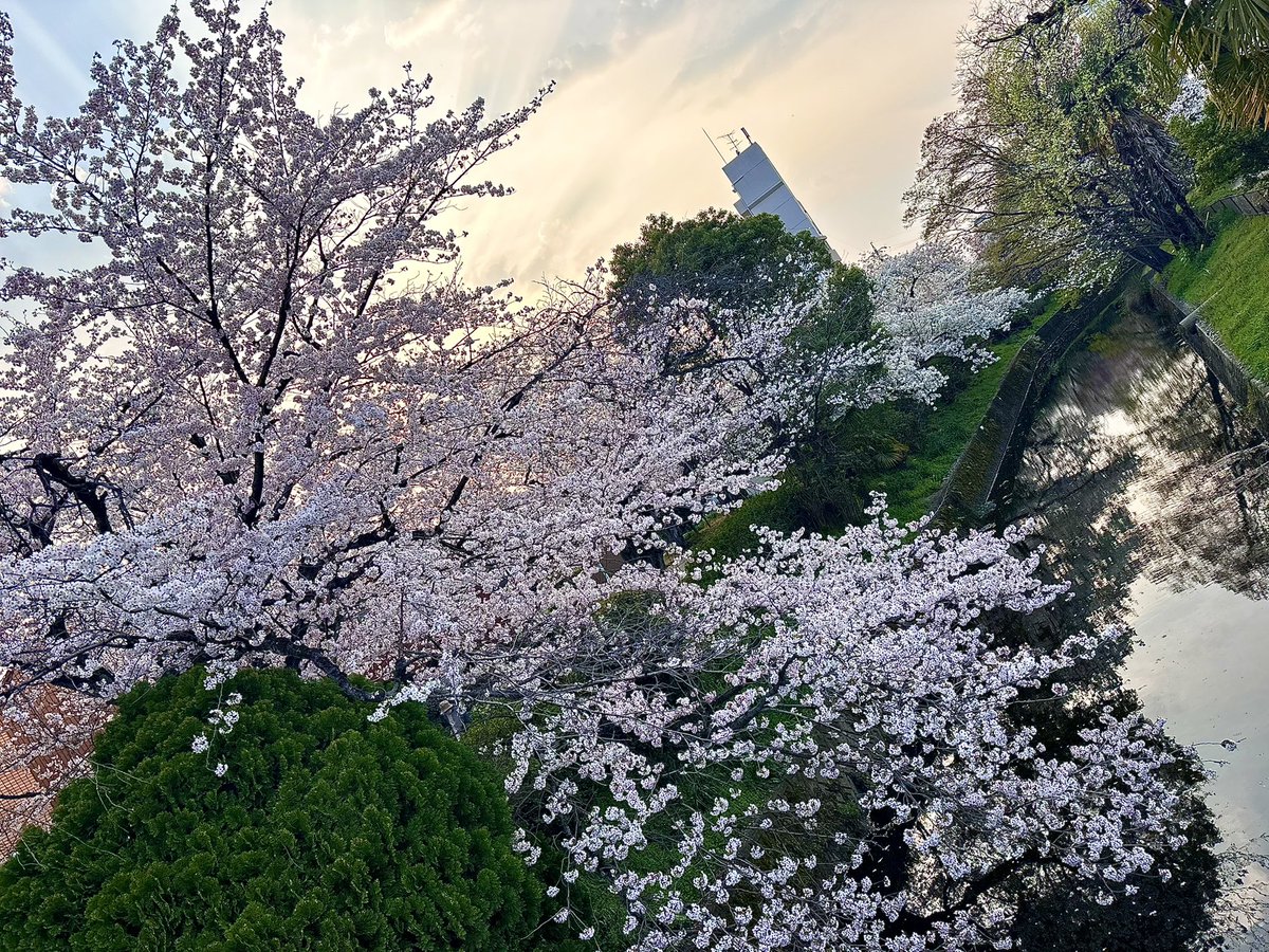 ☆セイジ☆ tweet media