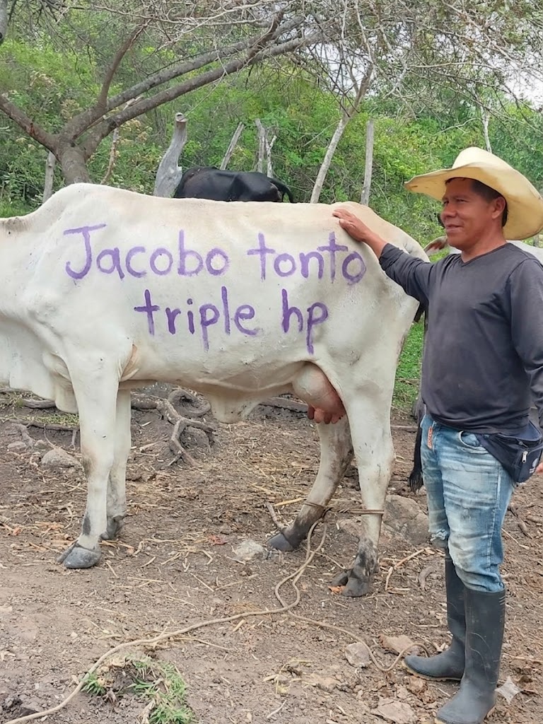 Don Panchoso tweet media