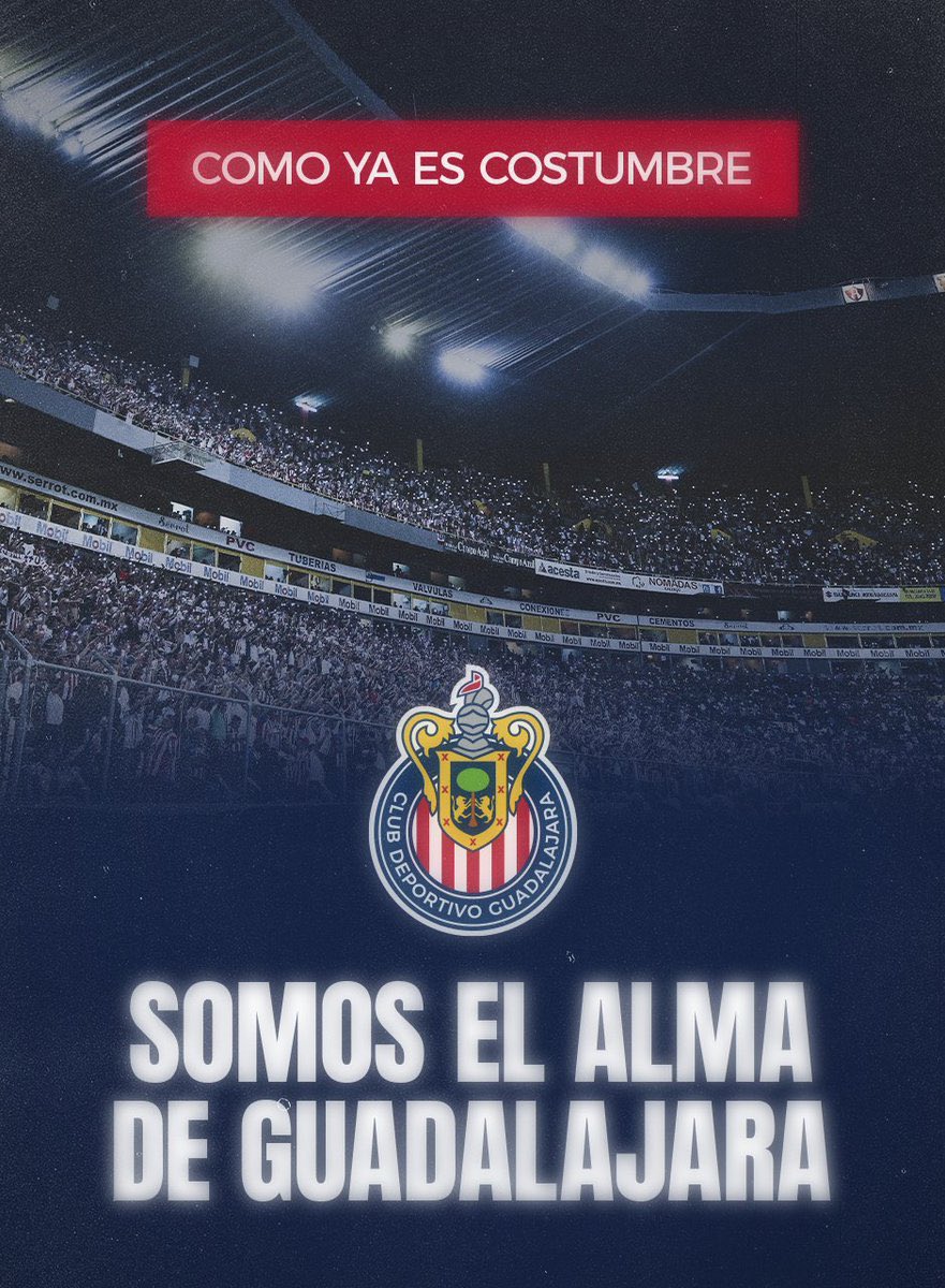 Max Chivalera tweet media