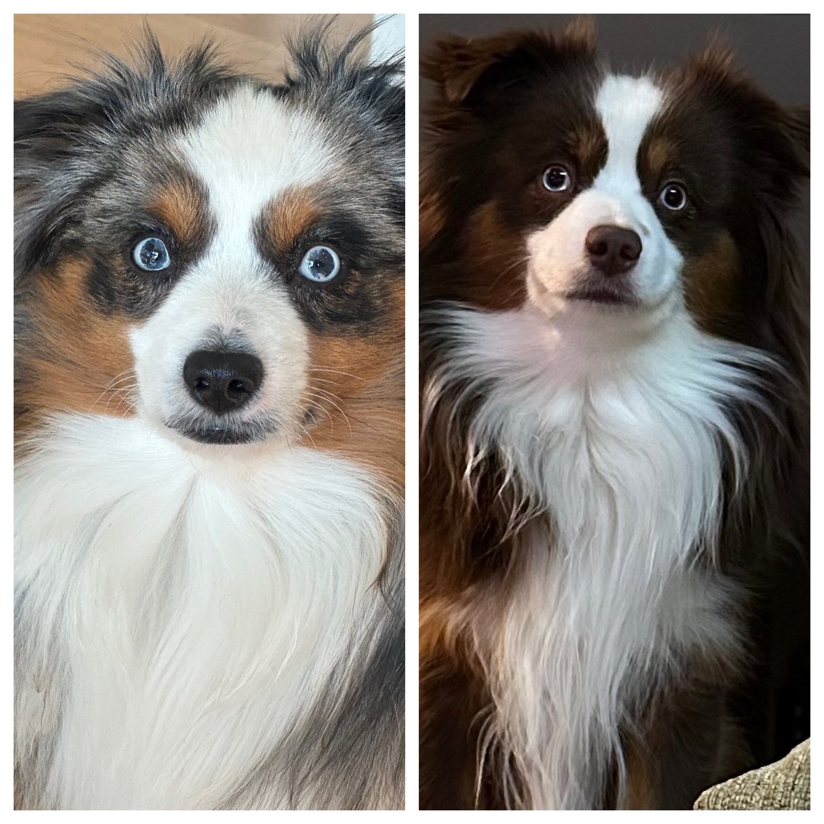 Dr. Ewok tweet media