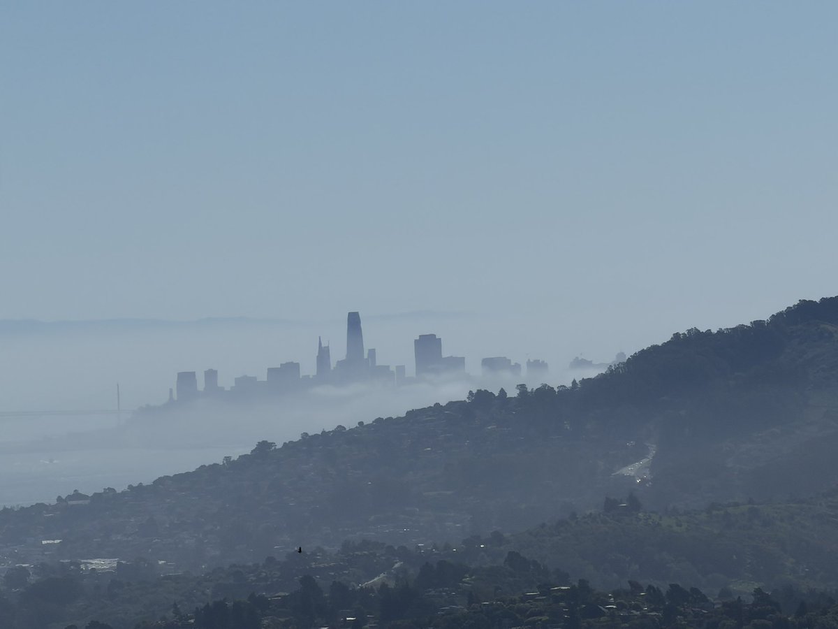 Spencer Schoeben tweet media