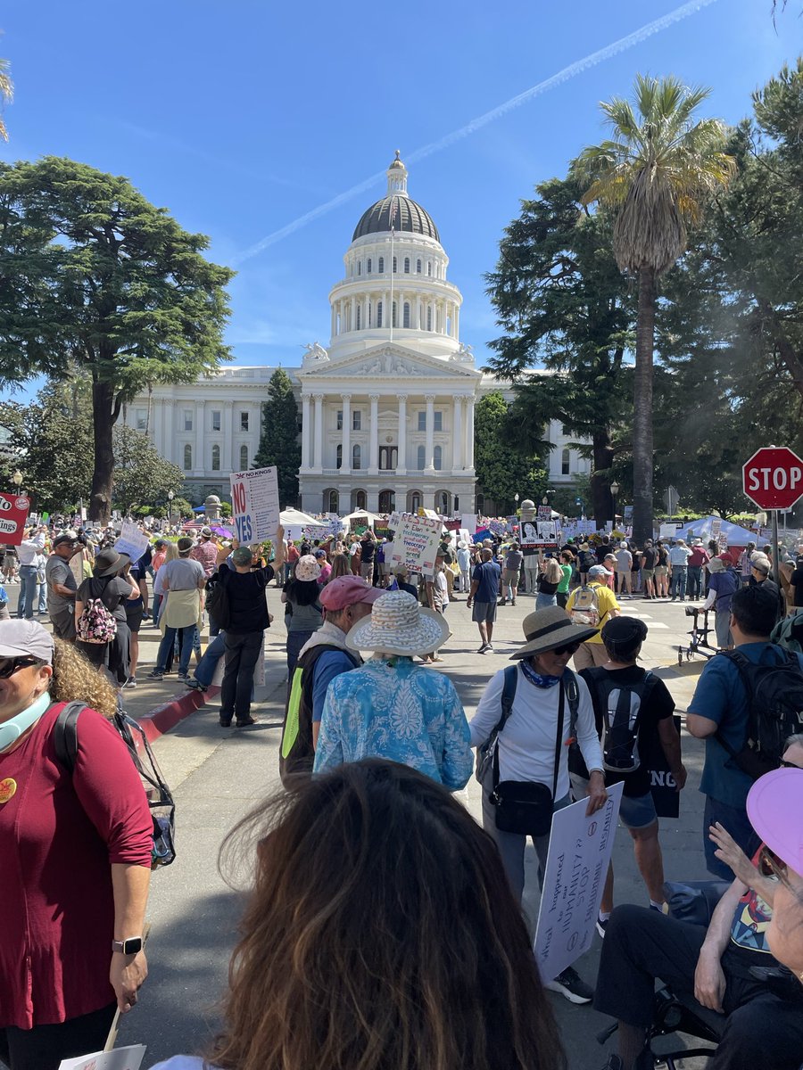 Ian Cameron tweet media