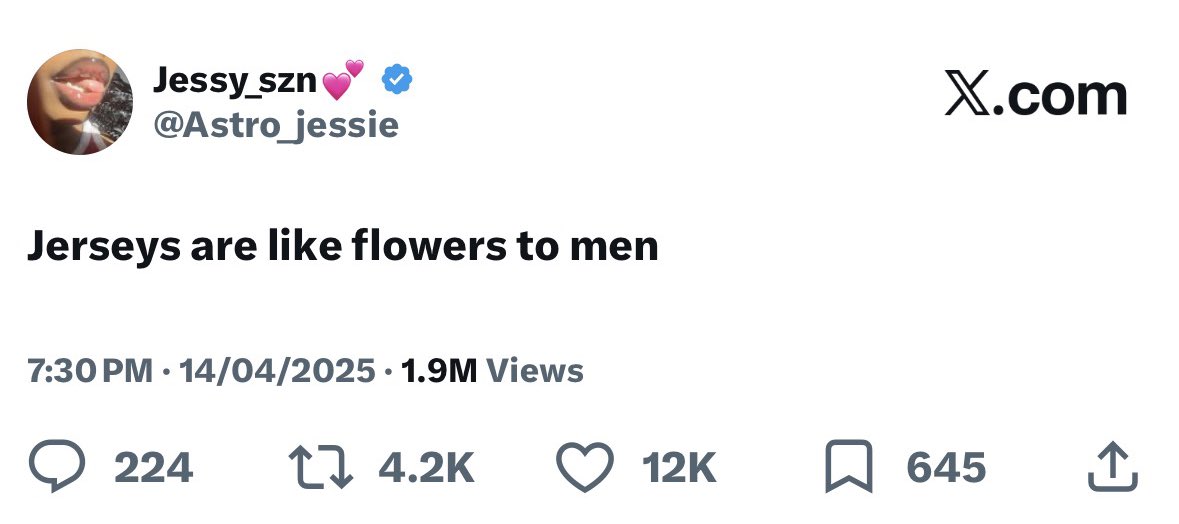 𝔻𝕒𝕟. tweet media