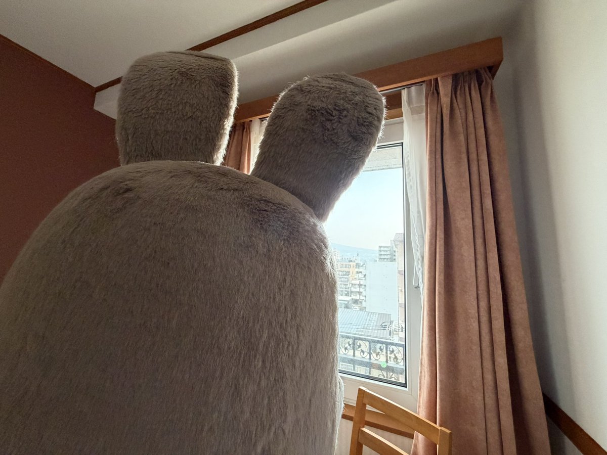 どんちゃん tweet media