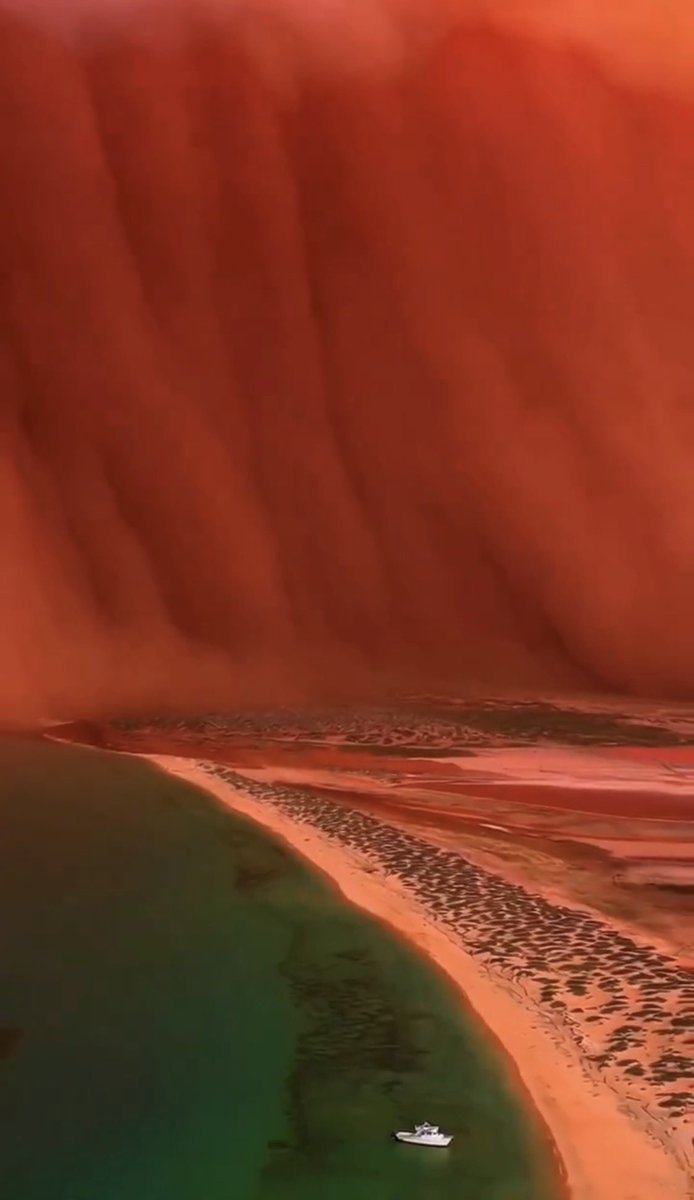 Sandra K Eckersley tweet media