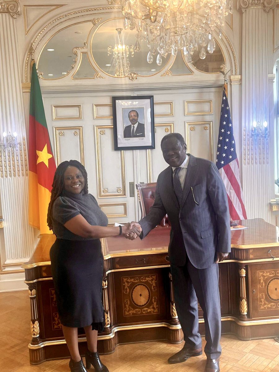 African Union Mission to the USA tweet media