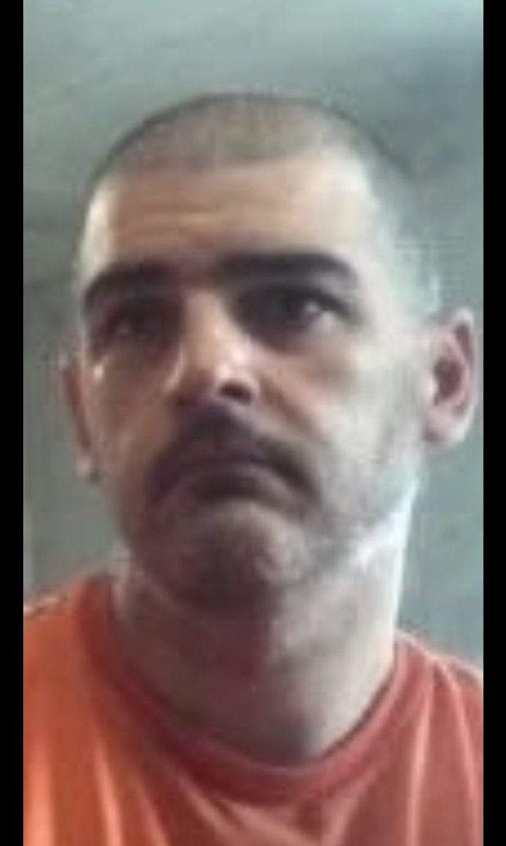 𝗠𝗲𝗺𝗲𝘀 𝗗𝗲𝗹 𝗠𝗶𝗷𝗶𝗻 tweet media