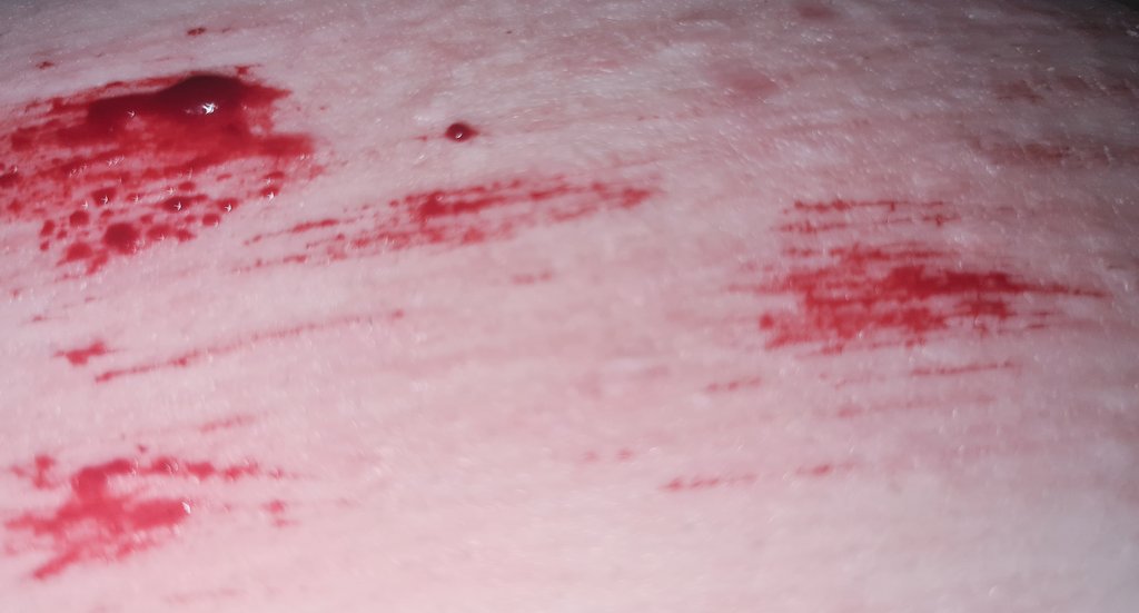 🪻 𝄢₊ akutagawa of shtwt ┈⊹┈ tweet media