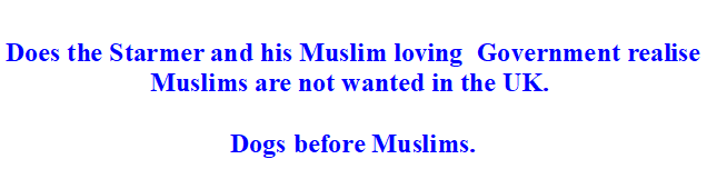 Megin Dog tweet media