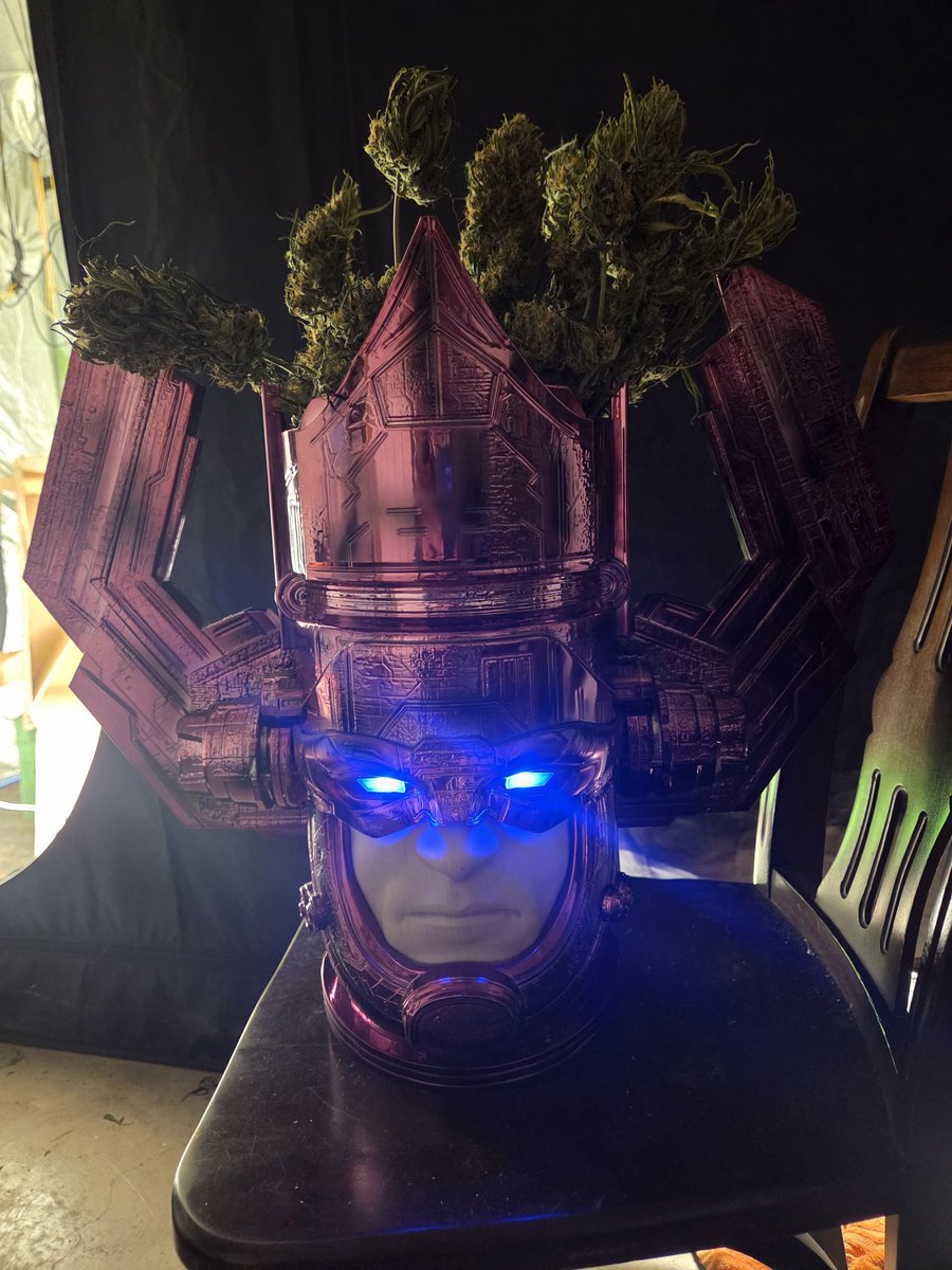 Flippapotamus tweet media