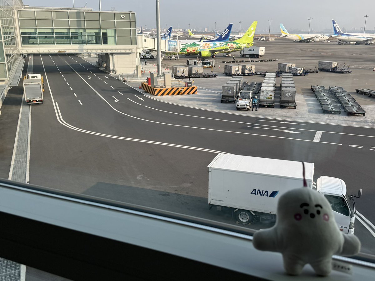 バス回避したけど一番端の方の搭乗口( 💢 ˊᵕˋ )