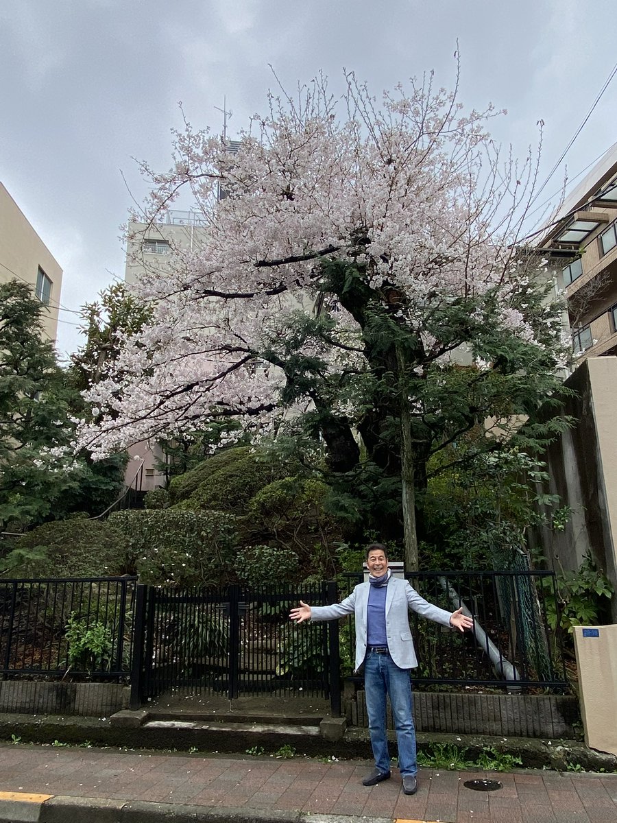 井上順 tweet media