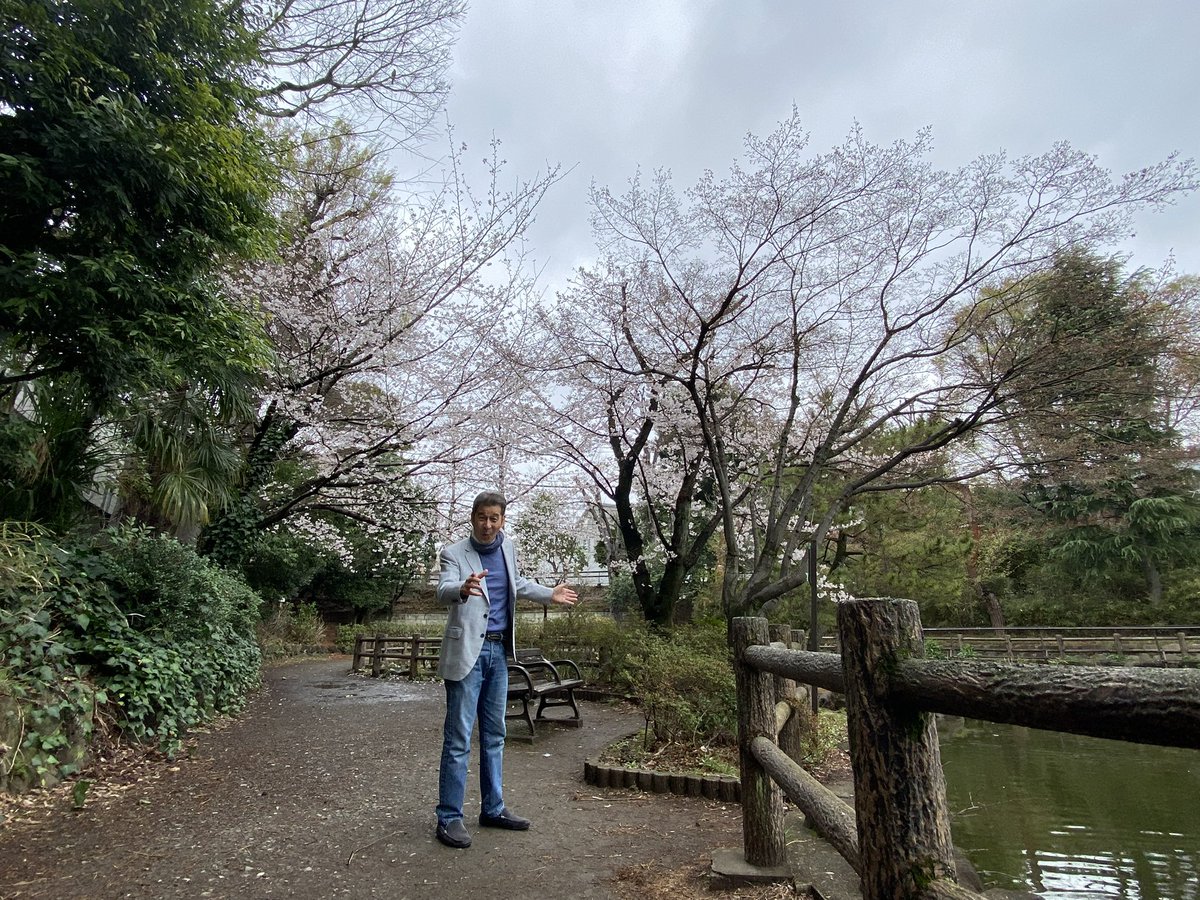 井上順 tweet media