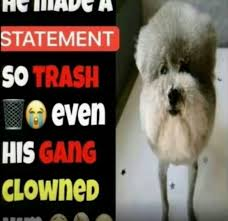 Marmalade (Amity's Wife) tweet media