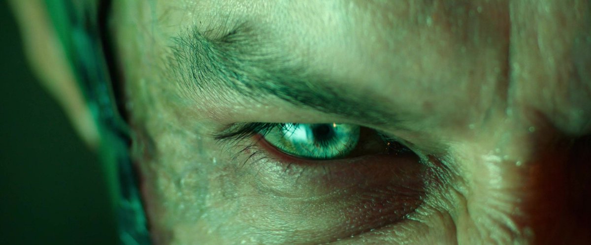 João Guilherme tweet media