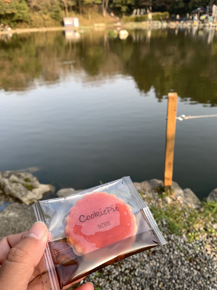 まりも250R/MKW/UNDEADFACTORYモニター tweet media