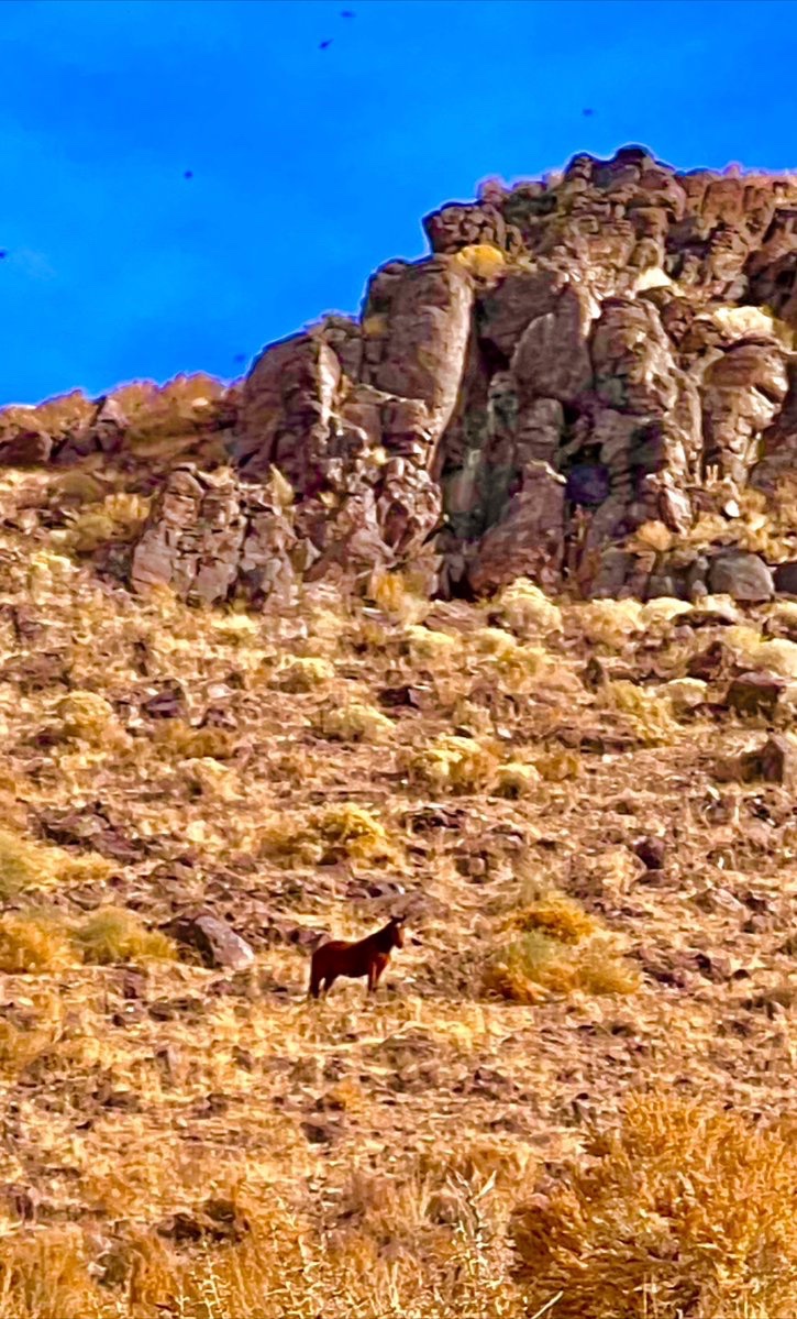 Jim Hawk tweet media