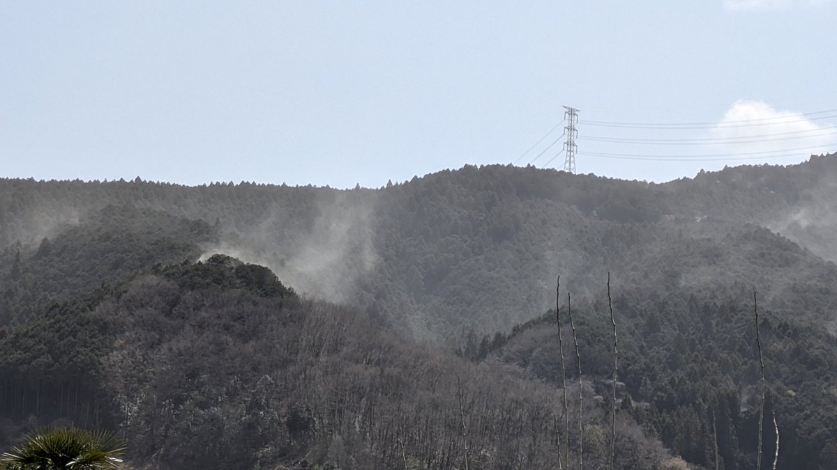 gososuke@revival＆go tweet media