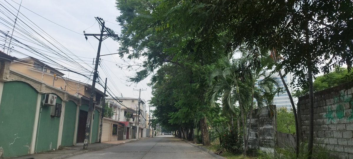 Tania de Carrera tweet media