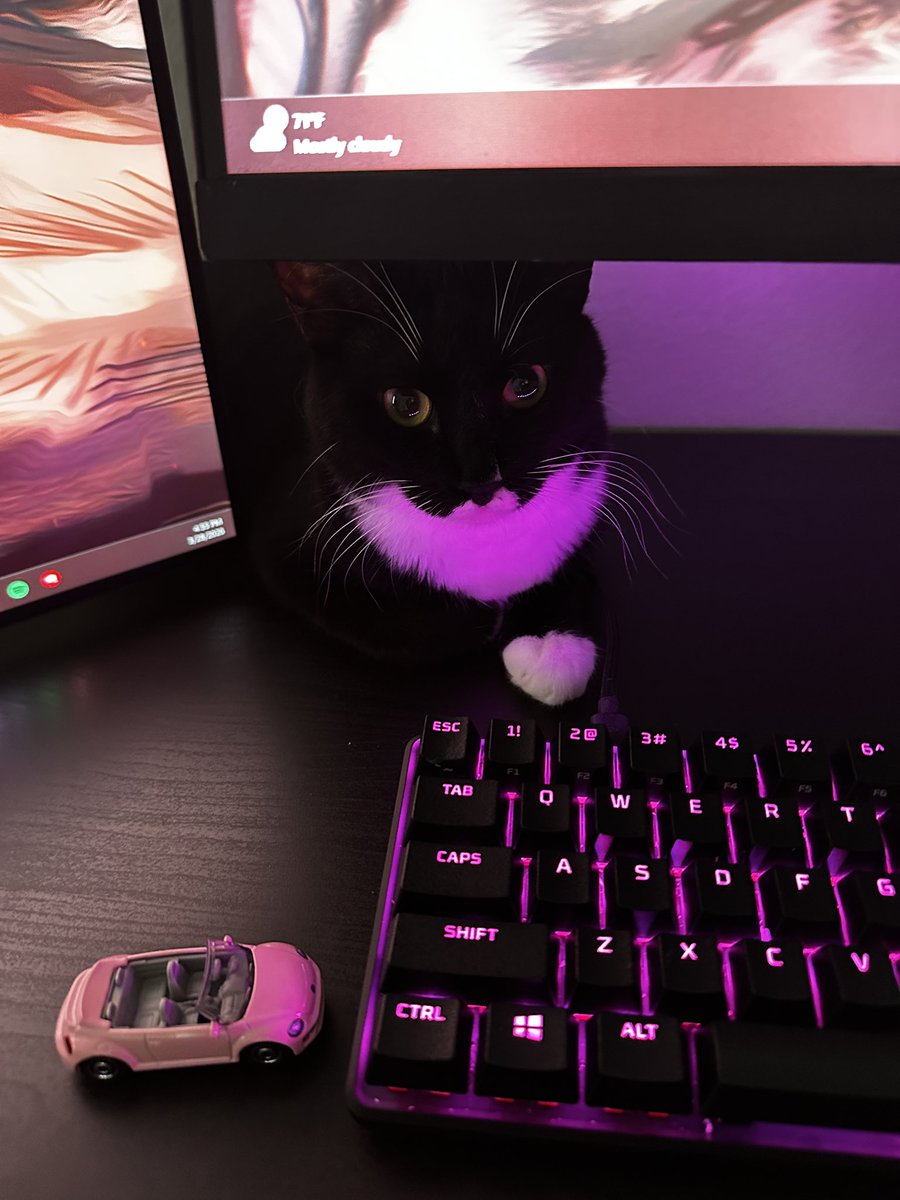 burger cat tweet media