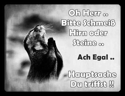 🥝 Primus Dompteur 🥝 tweet media