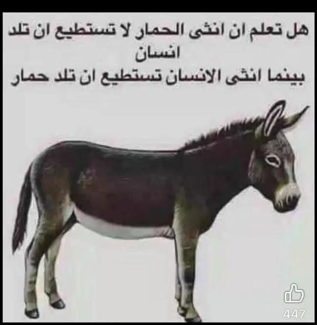 HsynHayk's tweet photo. @mdbarakat https://t.co/nb5d9wryPl