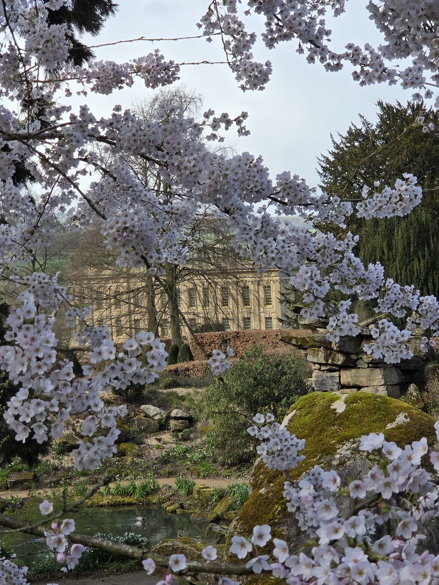 Ruby Monster tweet media