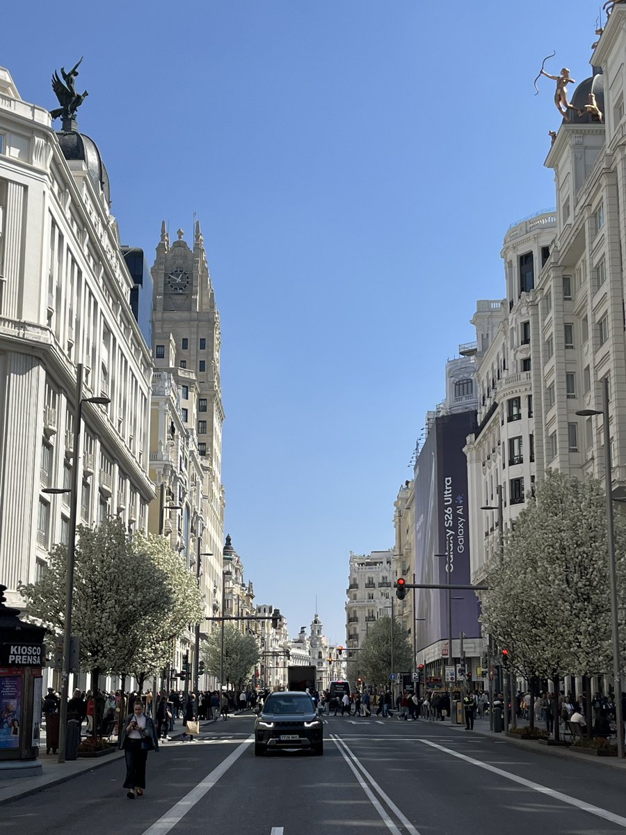 Alejandro Sabo tweet media