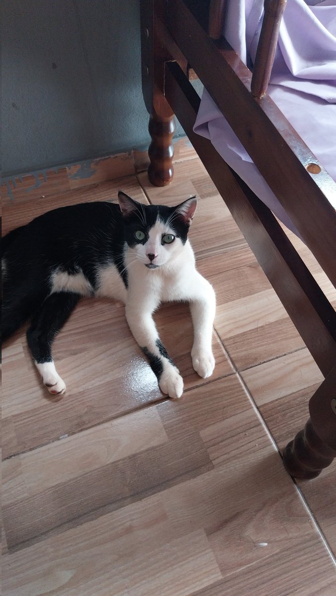 vi⁰⁰¹🪭 tweet media