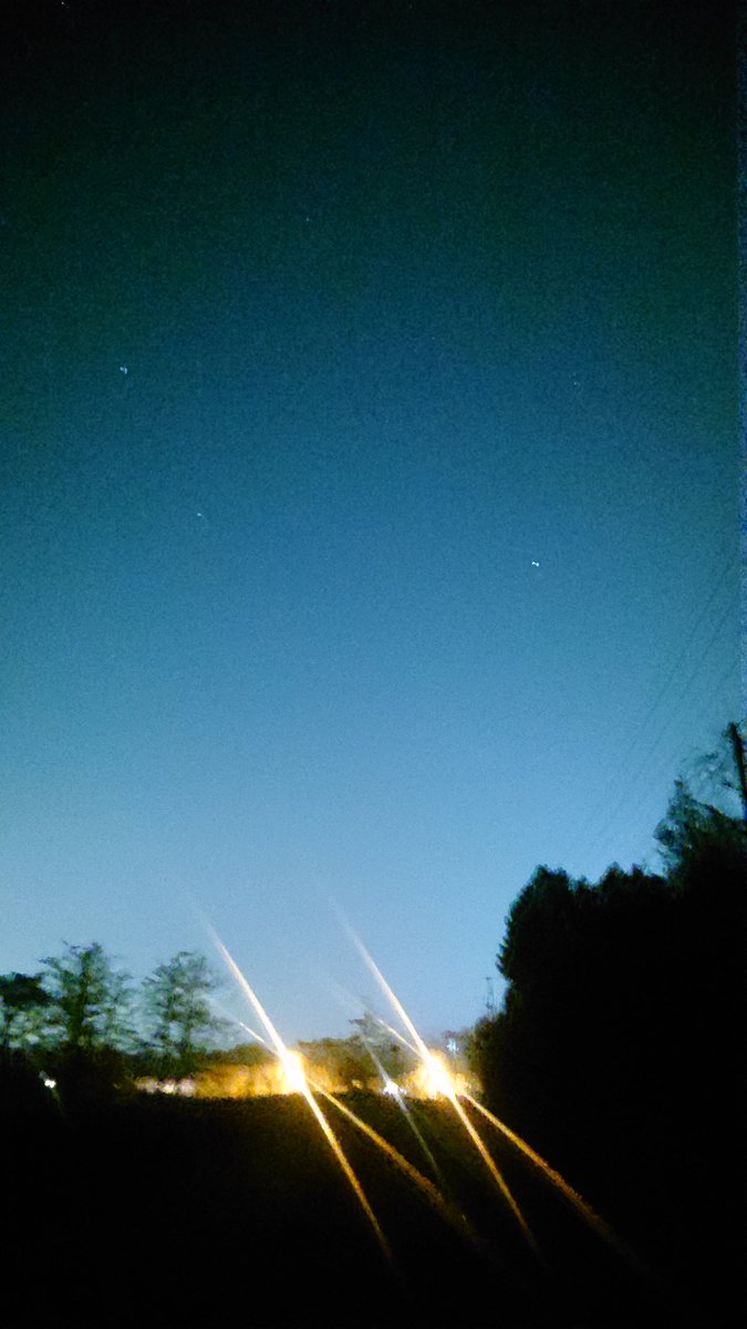 °とっと° tweet media