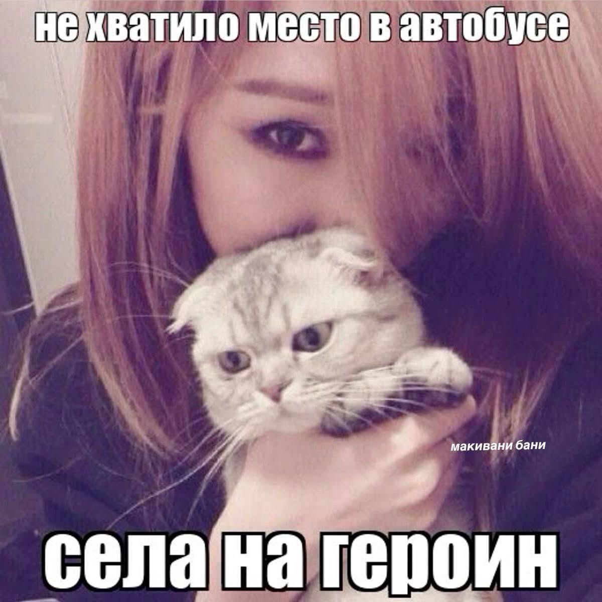 dandelionENHYPEN_IS_7 tweet media