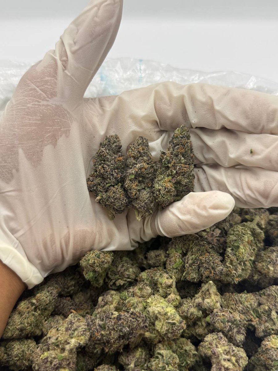 Limerickbuds1's tweet photo. Weed Askeaton, Weed Kilmallock, Weed Monaleen, Weed Croom, Weed Murroe, Weed Herbertstown, Weed Bruree, Weed Pallasgreen, Weed Effin, and Weed Roxborough. https://t.co/3atUqOaqvT