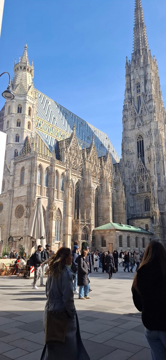 MozartCultures tweet media