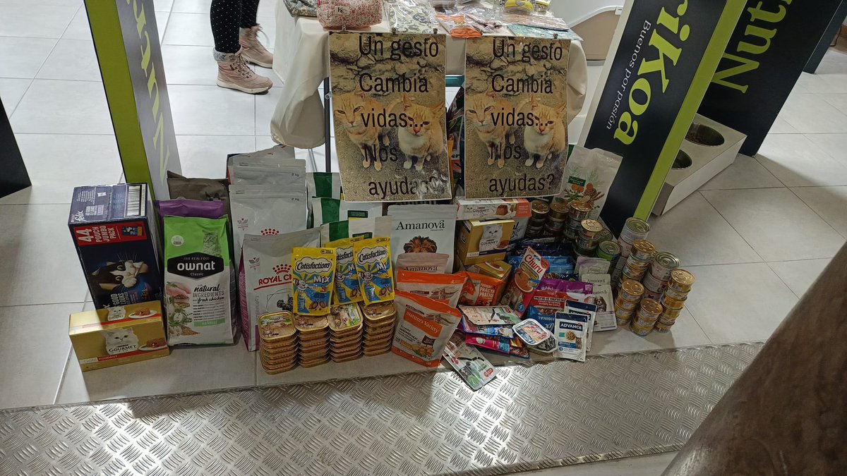 Gateando Despensa de Alimentos tweet media