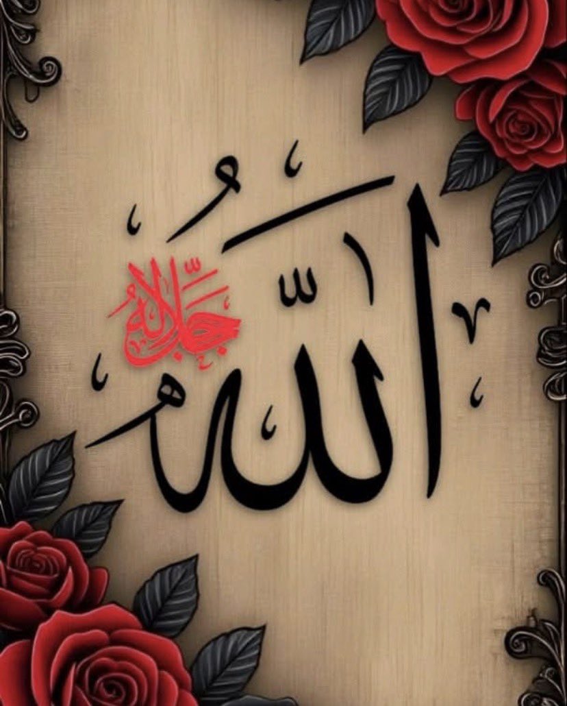 Black Sea Wind 6116 Kuzey Bey (Northerner) tweet media