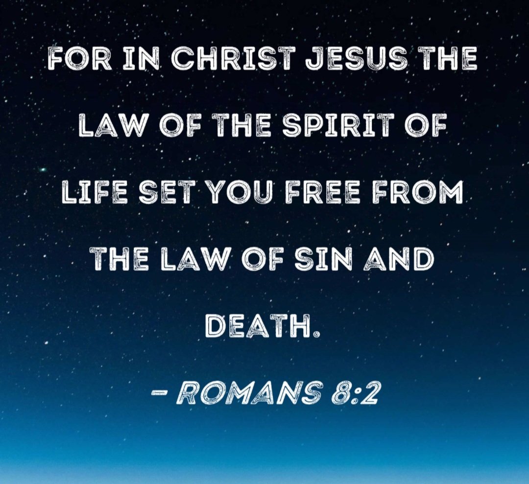 RED PILL MONKEY 🔴🐒 tweet media