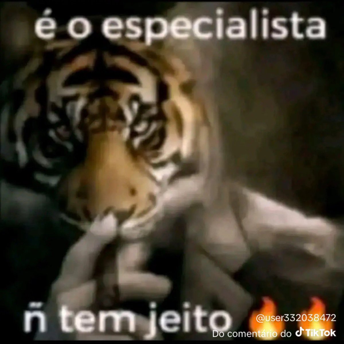 caetano horseman tweet media