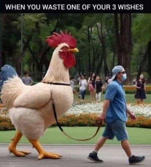 Арбитр бибенди 🟧 tweet media