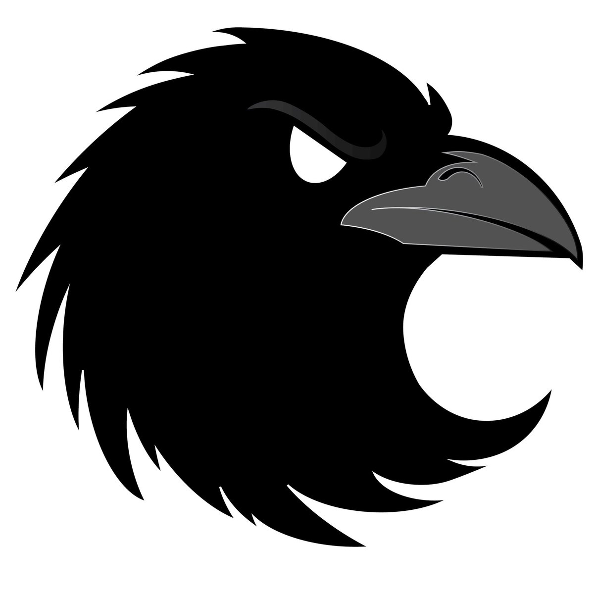 Crow Rikopa tweet media