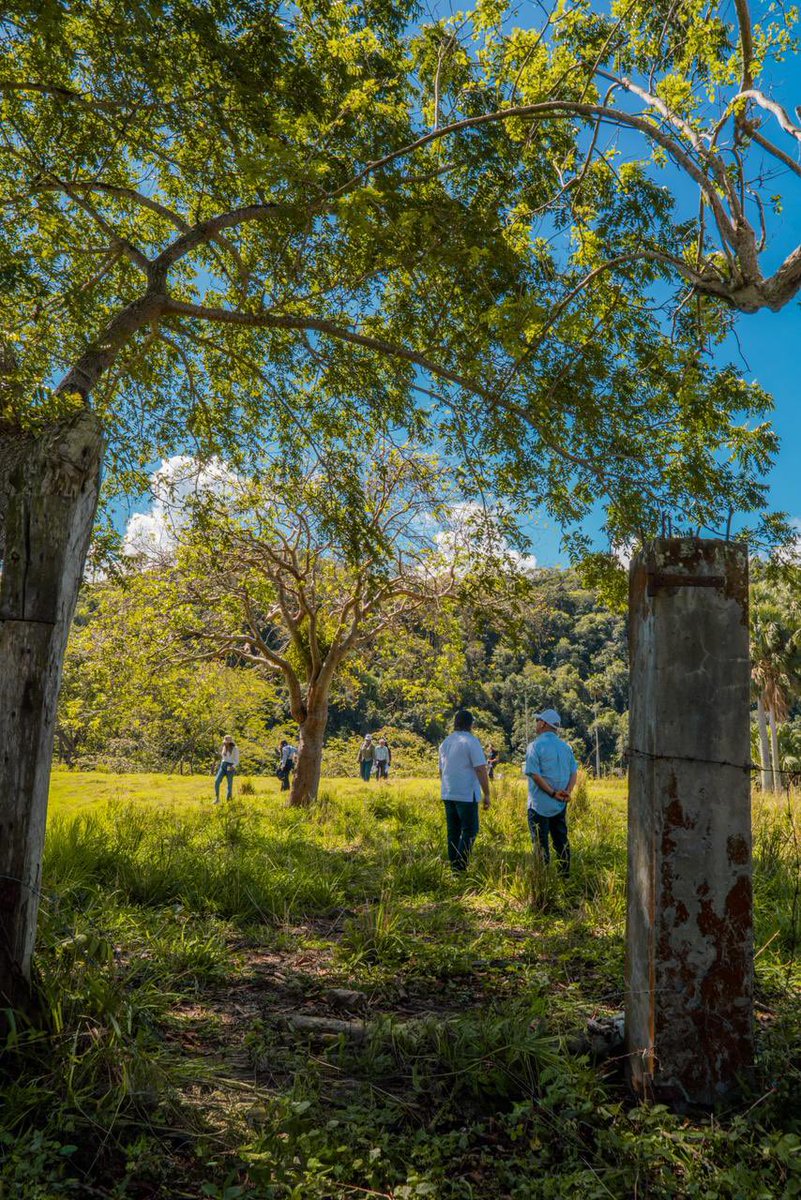 Jose Paliza tweet media