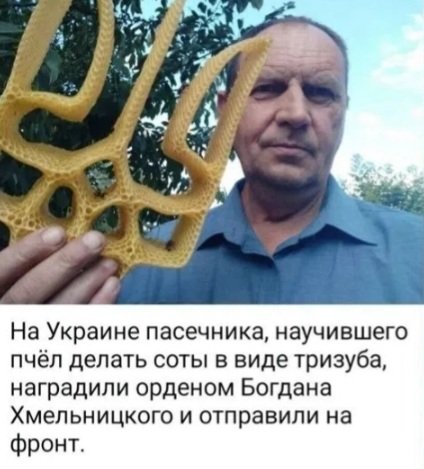 СУХС, хули!