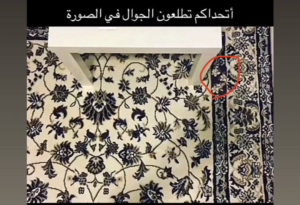 وجْد🛰️ tweet media