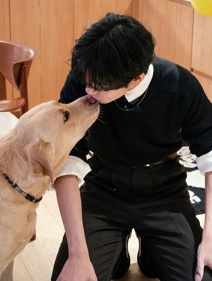 𝐊𝐈𝐌 태형 tweet media