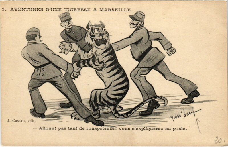 Marseille - Aventures D'Une Tigresse a Marseille à #Marseille #CartePostaleAncienne 👉 cartorum.fr/carte-postale/…