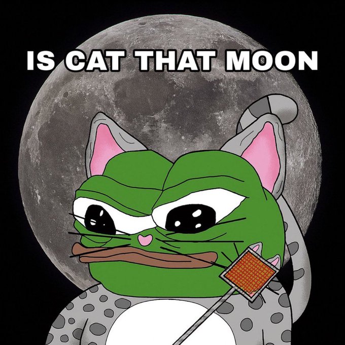 BDcrypto tweet media